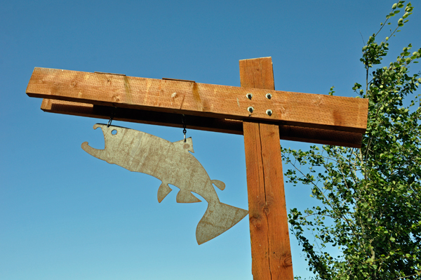 fish on a post